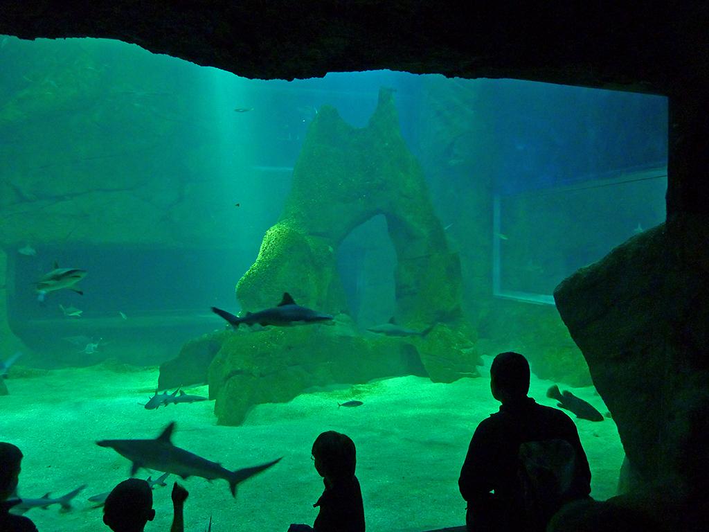  Museé de la Mer, Biarritz