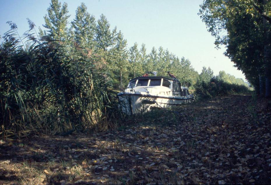 Boot im Urwald