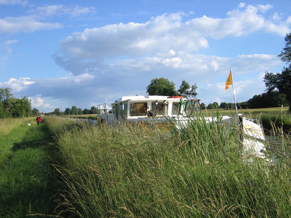 Wieder ein Liegeplatz im Gestrüpp.