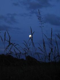 Kaum ist es Nacht, schon ist es fast wolkenlos.