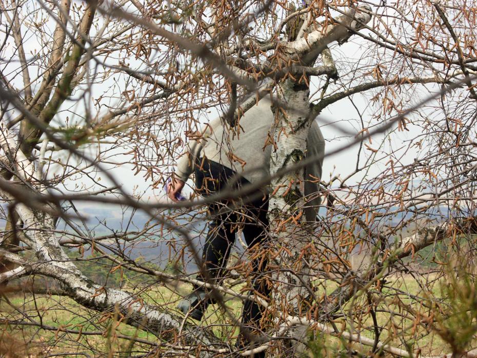 Osterhase auf der Flucht