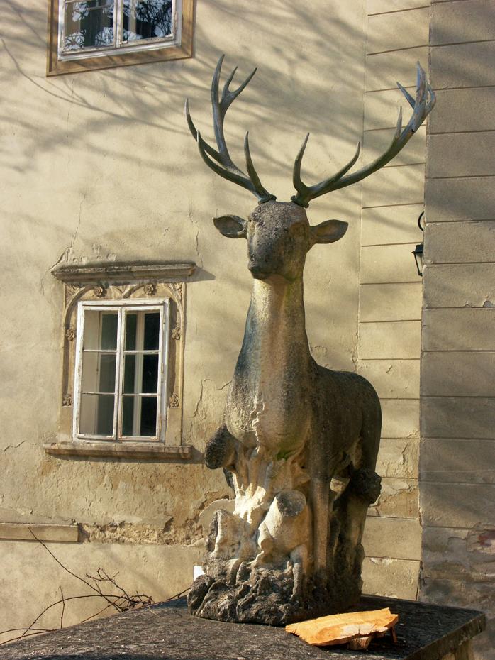 mit Hirsch