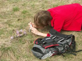 Ja wenn die Blume nicht zum Fotographen - pardon - zur Ftotographin kommt...