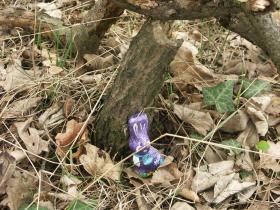 Ein versteckter Hase (bevor er gefunden wurde)