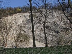 Gemse im Tierpark Ernstbrunn