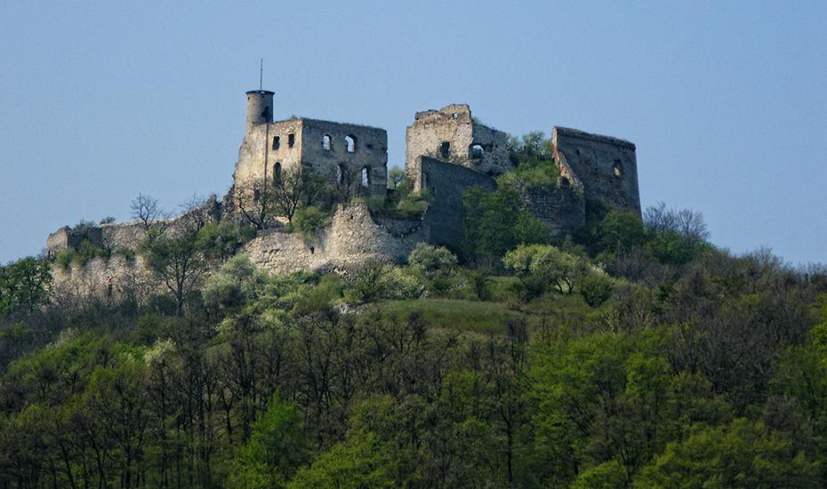 Ruine Falkenstein