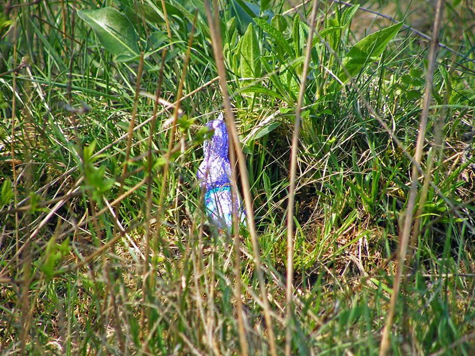 Der Osterhase hat sich versteckt