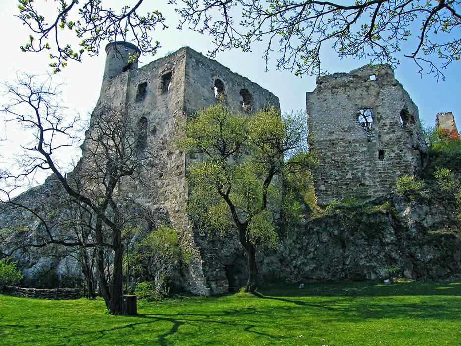 Ruine Falkenstein