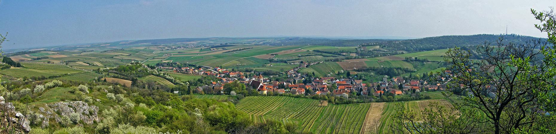 Blick von der Ruine Falkenstein