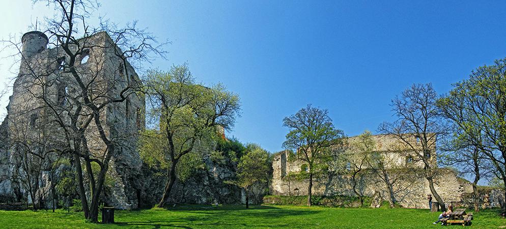 Ruine Falkenstein