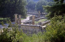 Olympia ganz grün