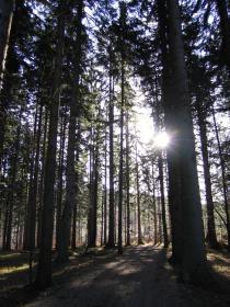 Schön warm für Dezember, aber höher steigt die Sonne nicht