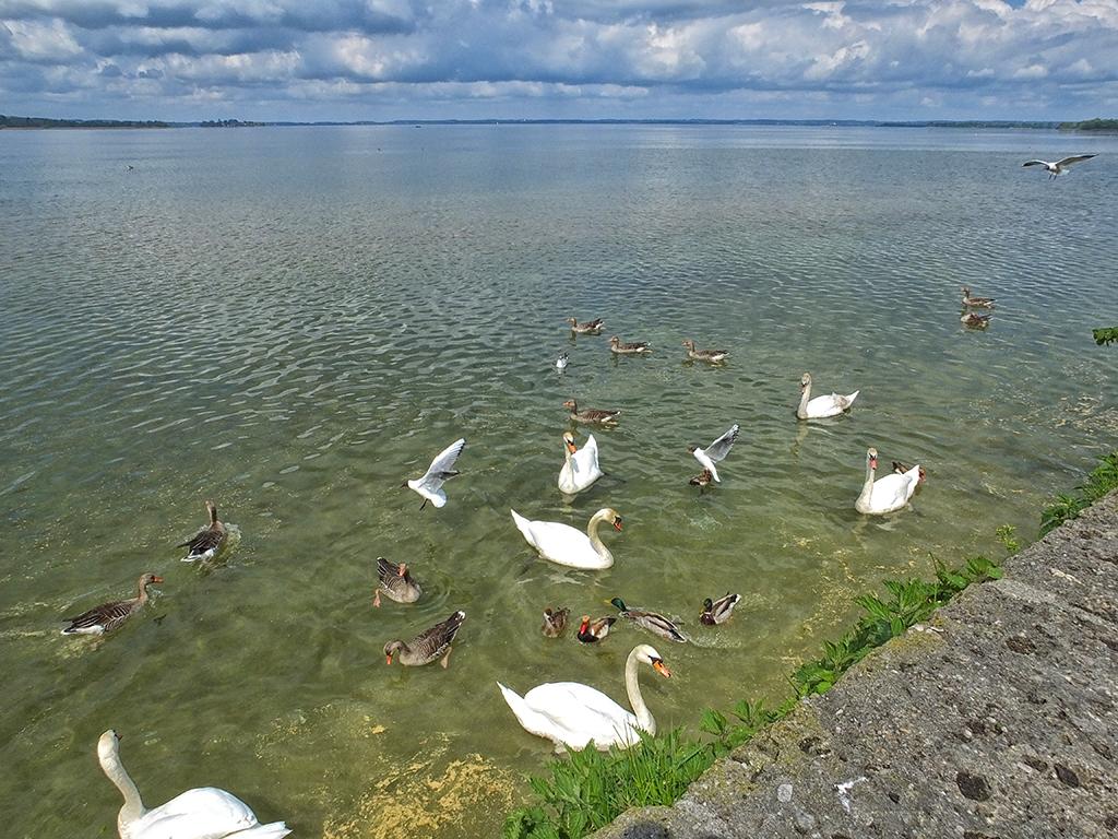 Der Chiemsee vom Autobahnparkplatz