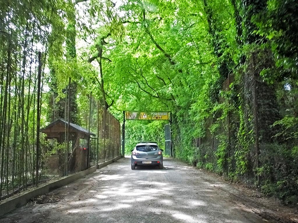 Gardasee, Safaripark