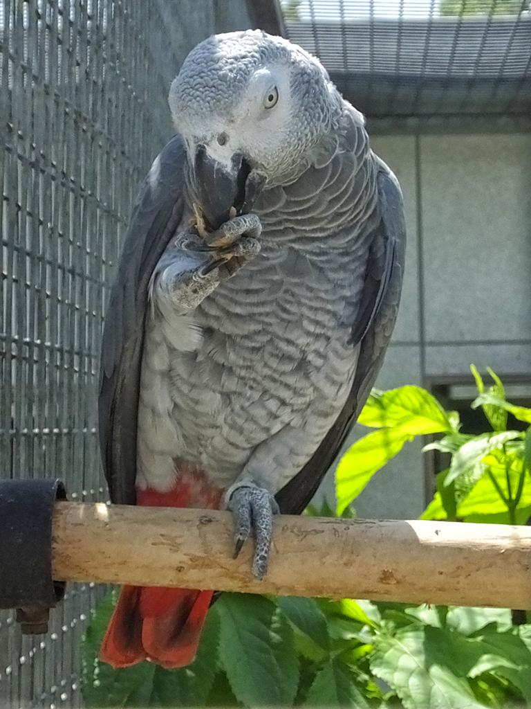 Vogelpark Turnersee