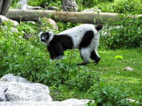 Gardasee, Safaripark