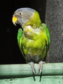 Vogelpark Turnersee