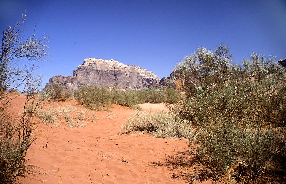 Blick ins Wadi Rum