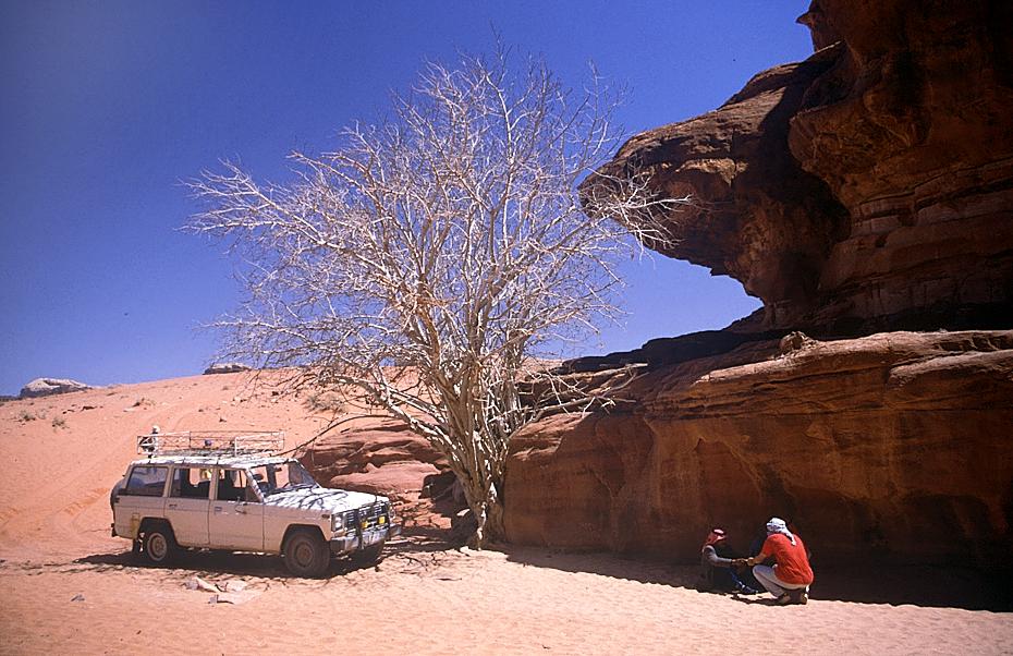 Wasserstelle im Wadi Rum