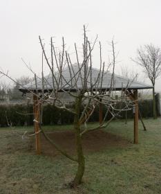 Am 30. Dezember - Raureif und Morgenfrost, aber grün und schneefrei!