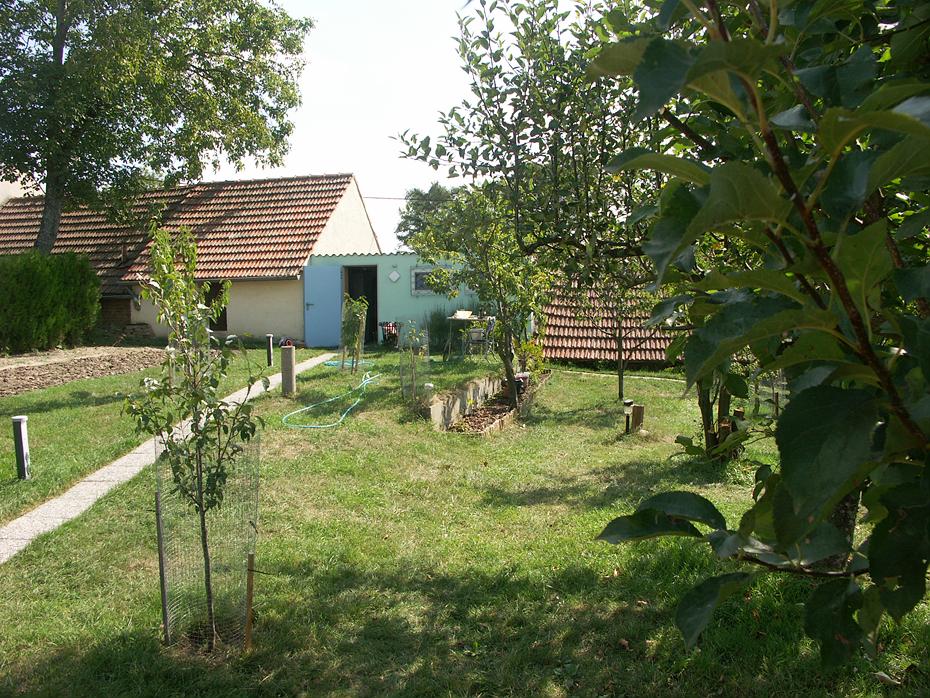 Krut im Herbst und dennoch grün