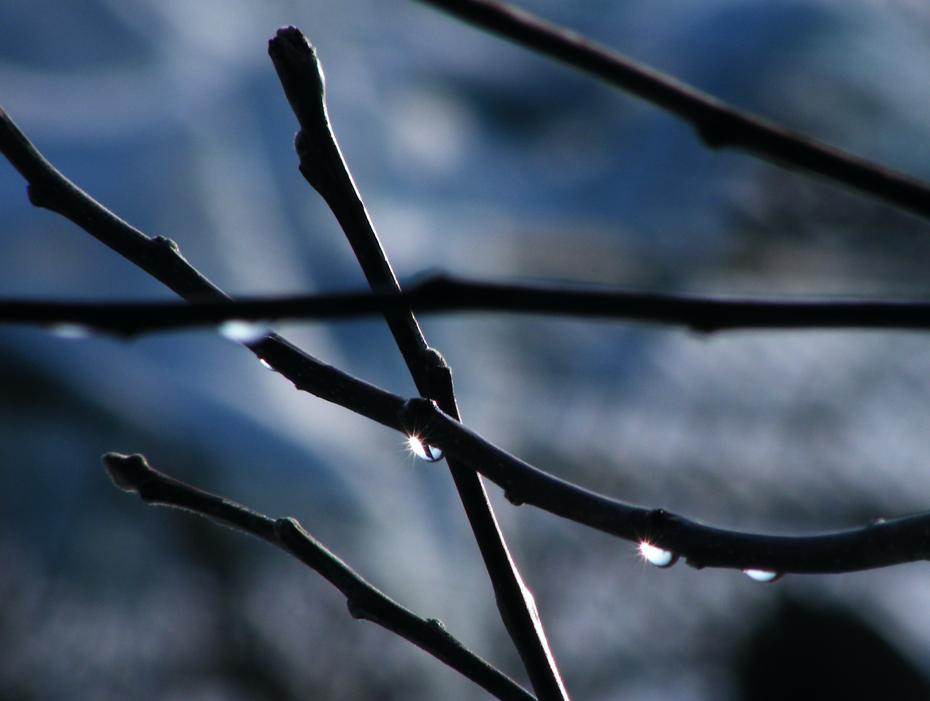 Sonne glitzert im geschmolzenen Schnee