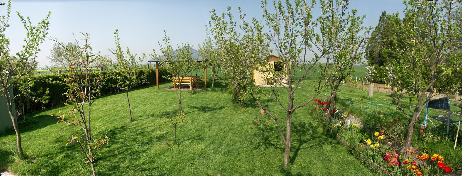 Der Garten im extremgrün