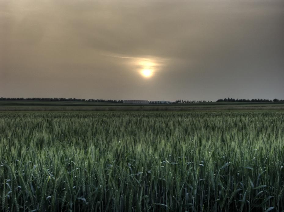 Saharasand in der Luft und der Sonnenuntergang wird schräg (HDR)