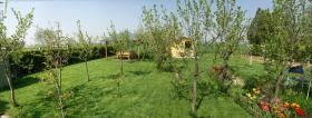 Der Garten im extremgrün