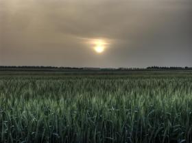 Saharasand in der Luft und der Sonnenuntergang wird schräg (HDR)