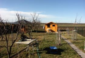Frühling m Februar - für einen Tag