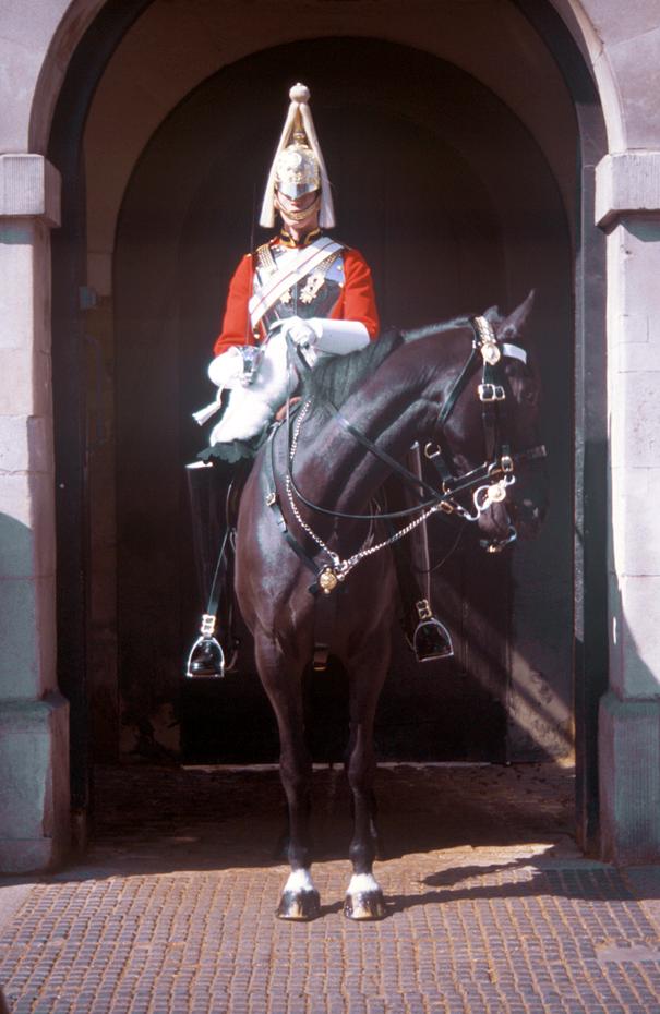 the guard
