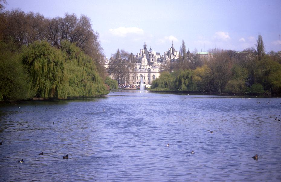 der ruhige Park