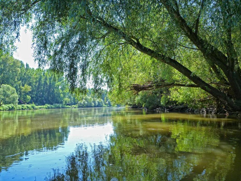 Schattige Ecken der March