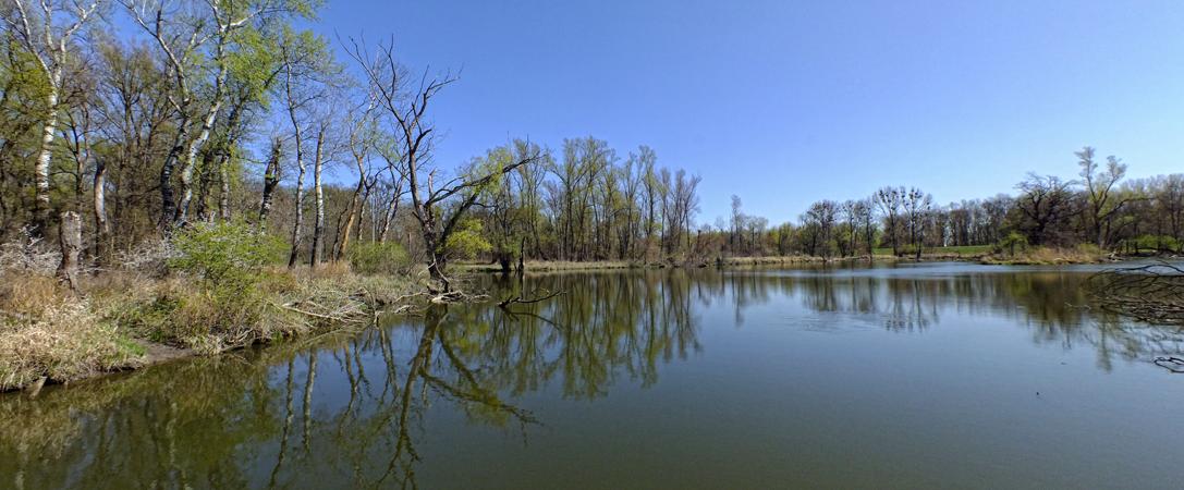 Teich, Marchegg