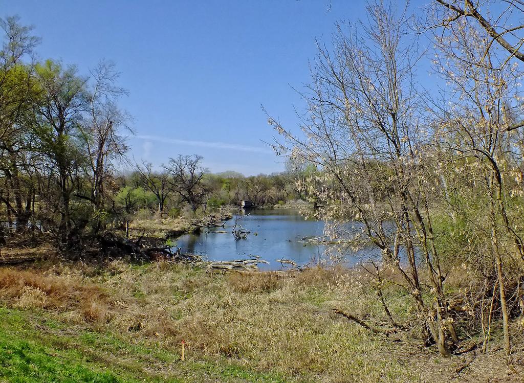 Teich, Marchegg