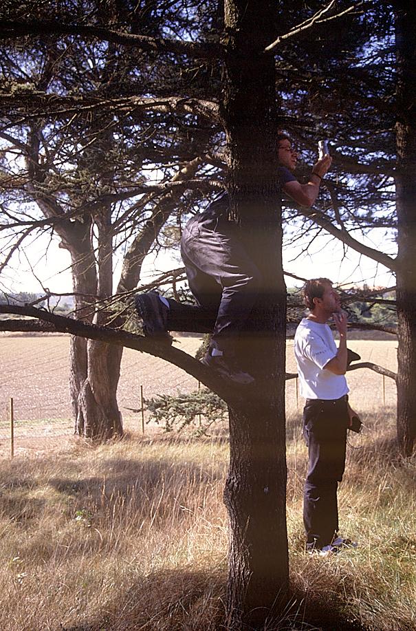 Klaus beglückt den Baum