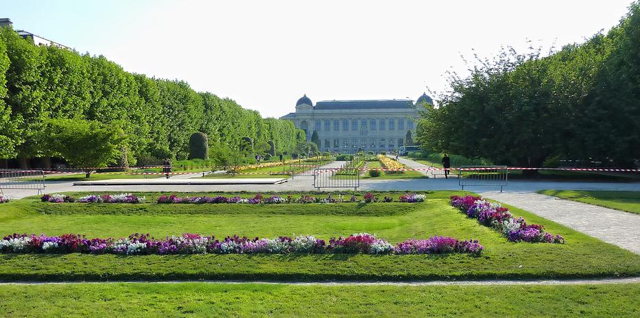 Blick zurück auf das Naturhistorische Museum