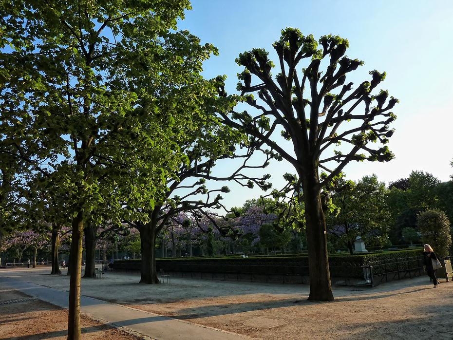 Jardin du Luxembourg