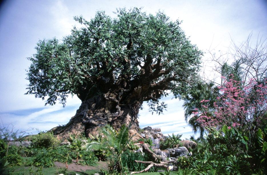 das Wahrzeichen des Animal Kingdom