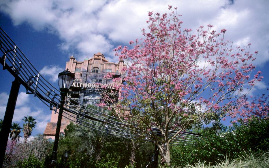 Tower of Terror im MGM