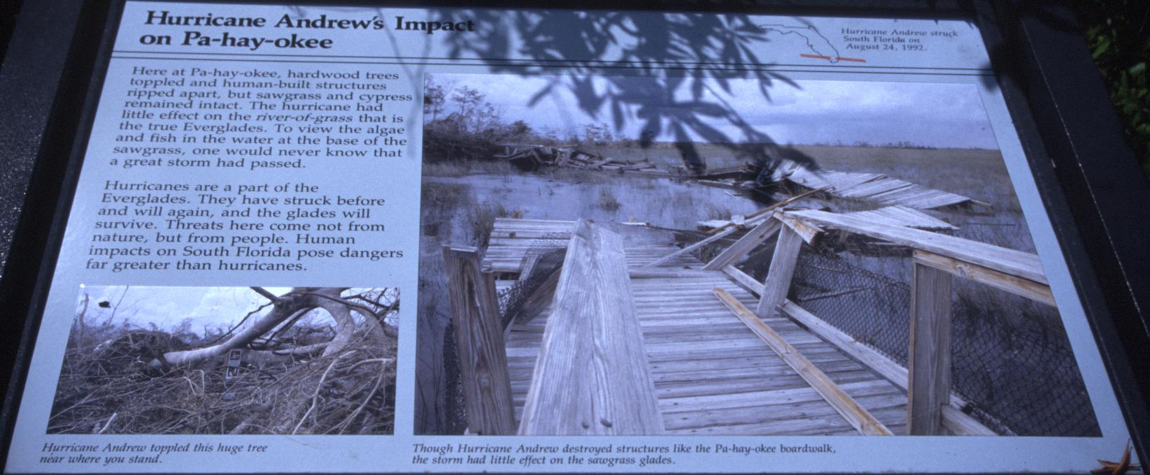 Ergebnis von Andrews in den Everglades