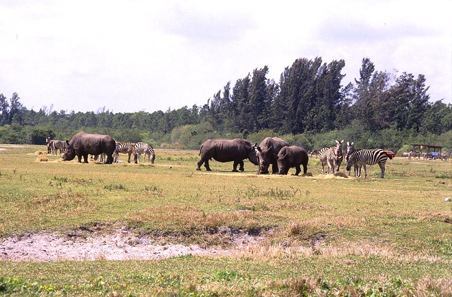 Lion Country Safari Park