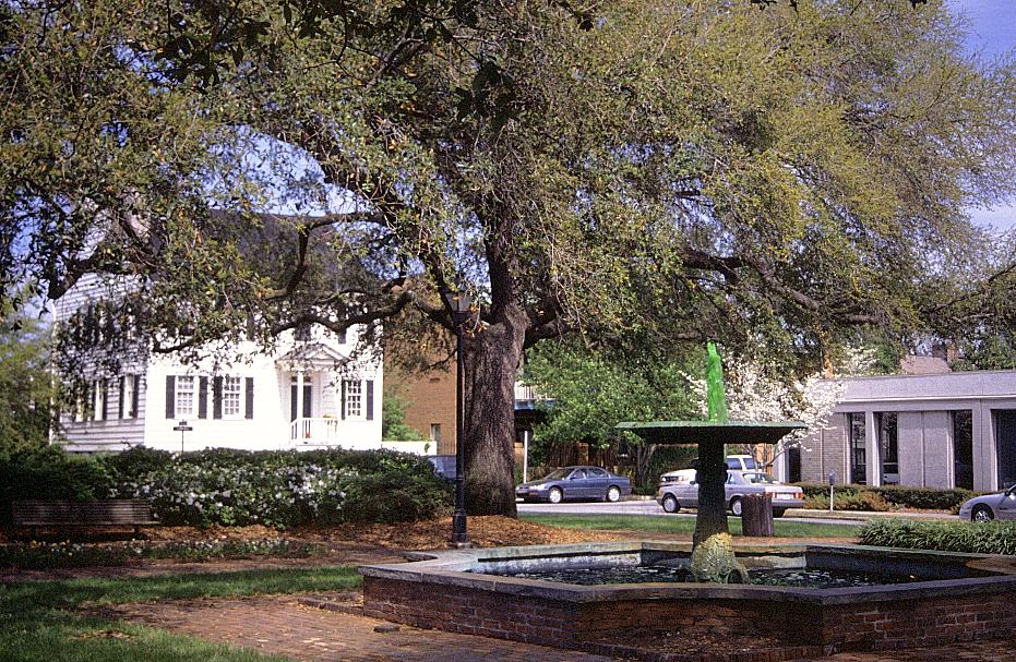 alles grün macht St. Patrick (in Savannah)