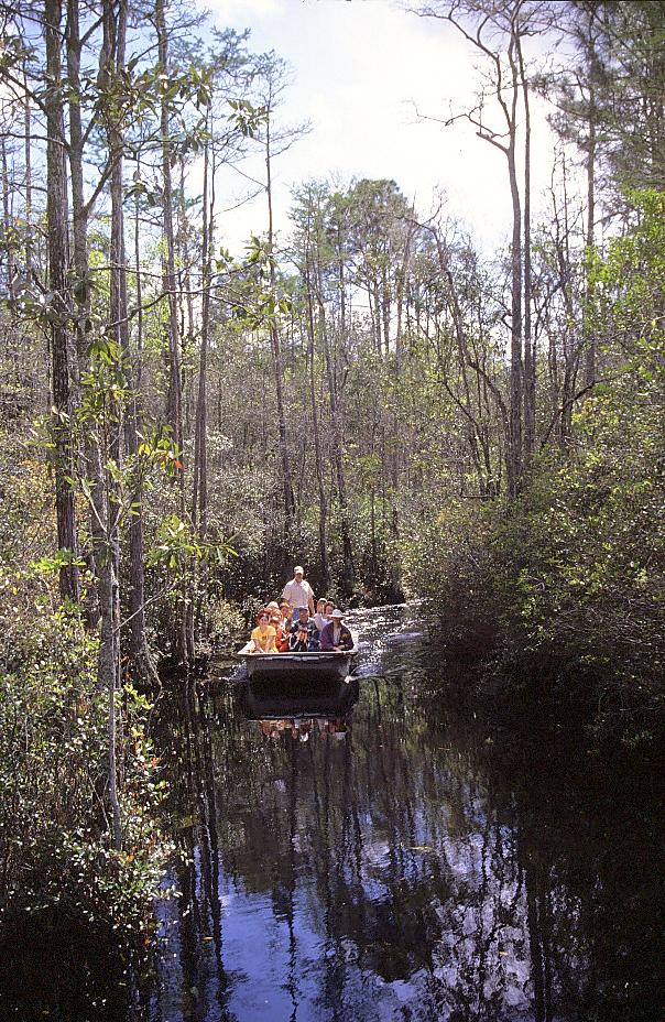 Rundfahrtboot im Okefenokee Swamp