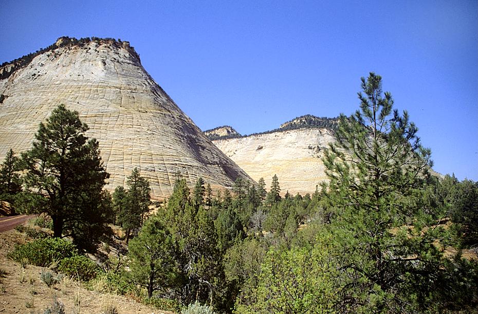 Checkerboard Mesa, Zion NP.