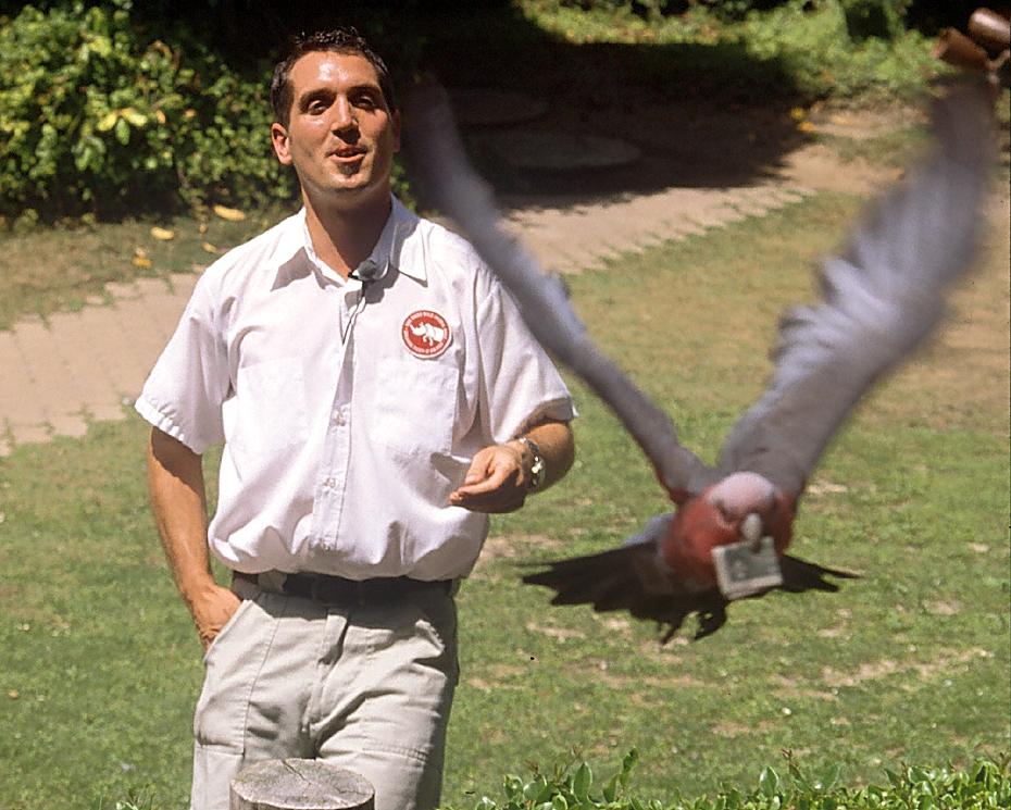 der beliebte Dollartrick, San Diego Wild Animal Park