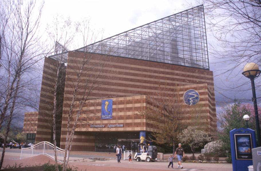 Tennessee Aquarium