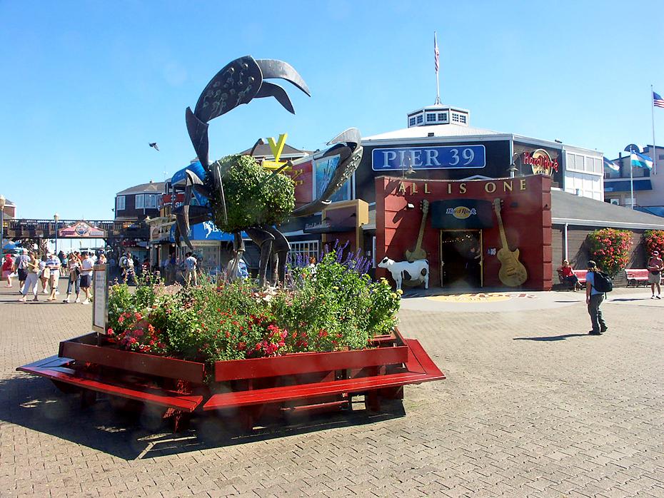 Pier 39 in San Francisco