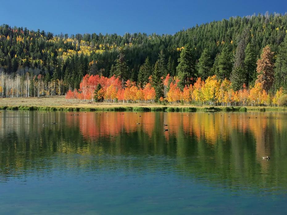 Herbststimmung beim Duck Creek